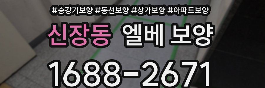 신장동 엘베 보양