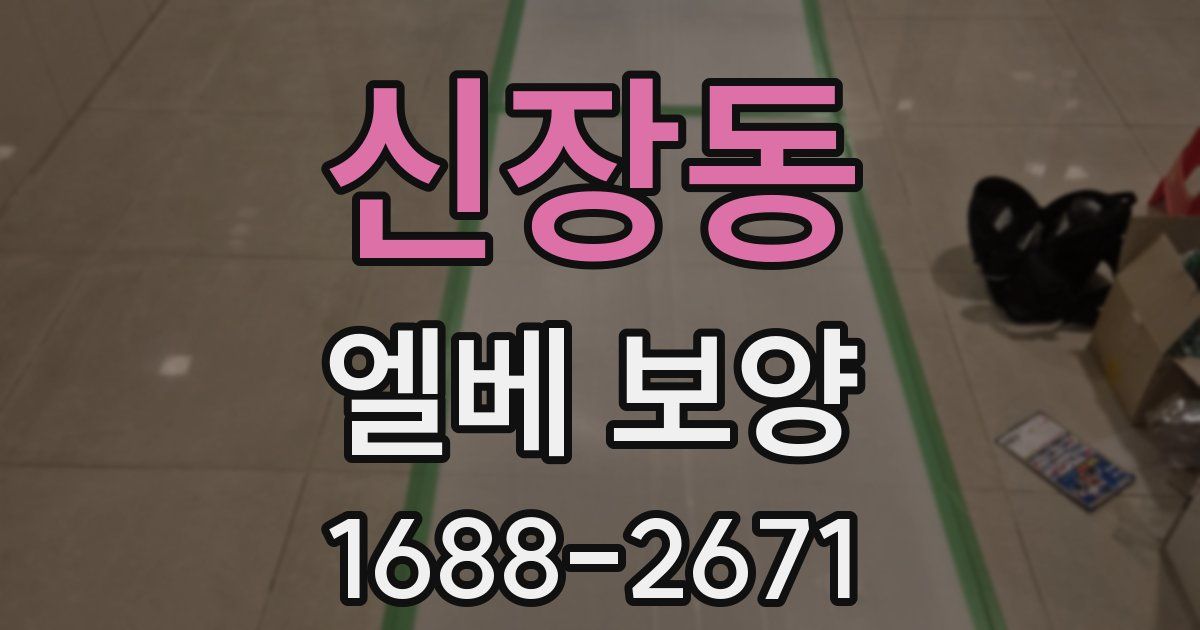 신장동 엘베 보양