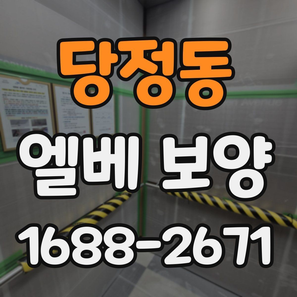 당정동 엘베 보양 보양 자재 선택 시 현장 조건별 체크포인트