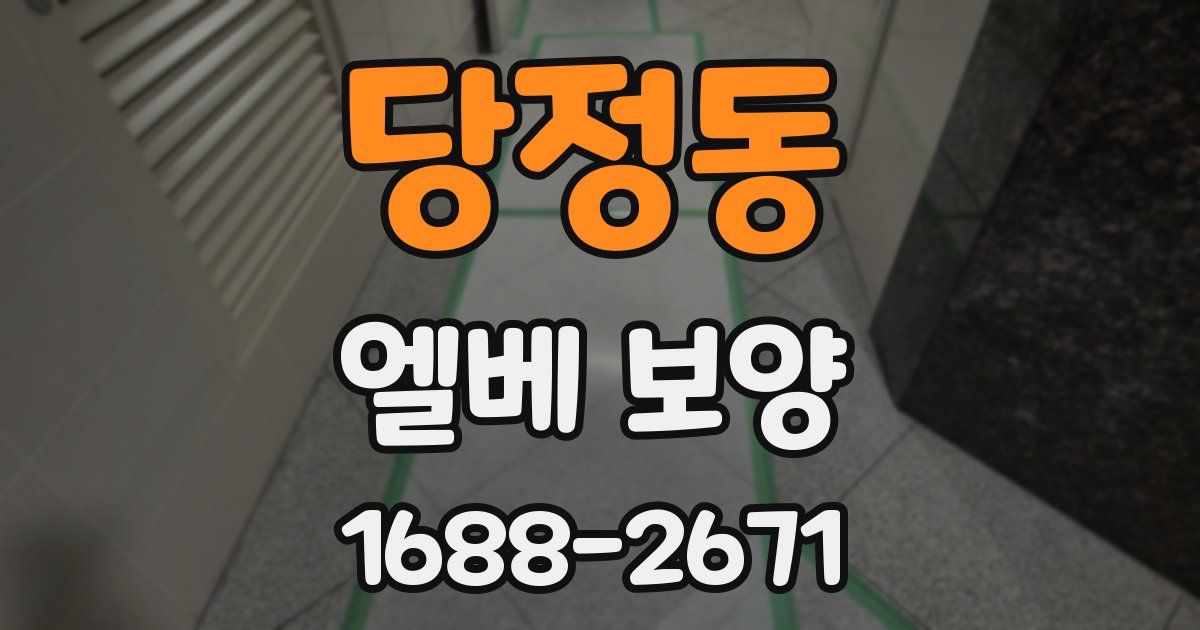 당정동 엘베 보양