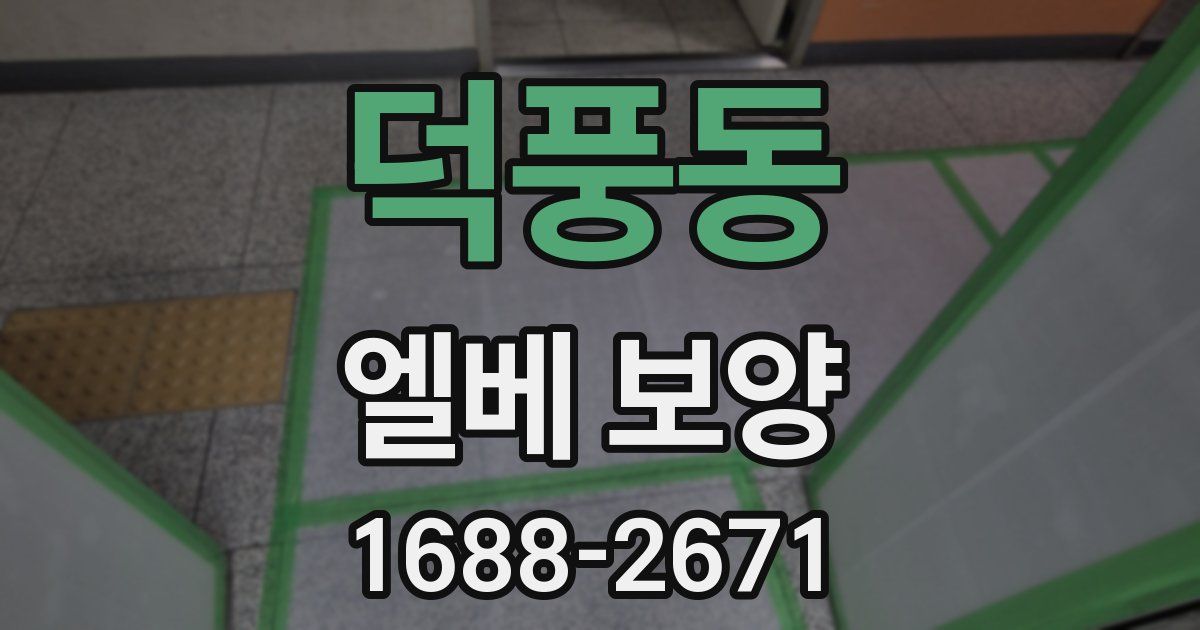 덕풍동 엘베 보양