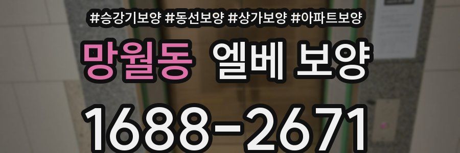 망월동 엘베 보양