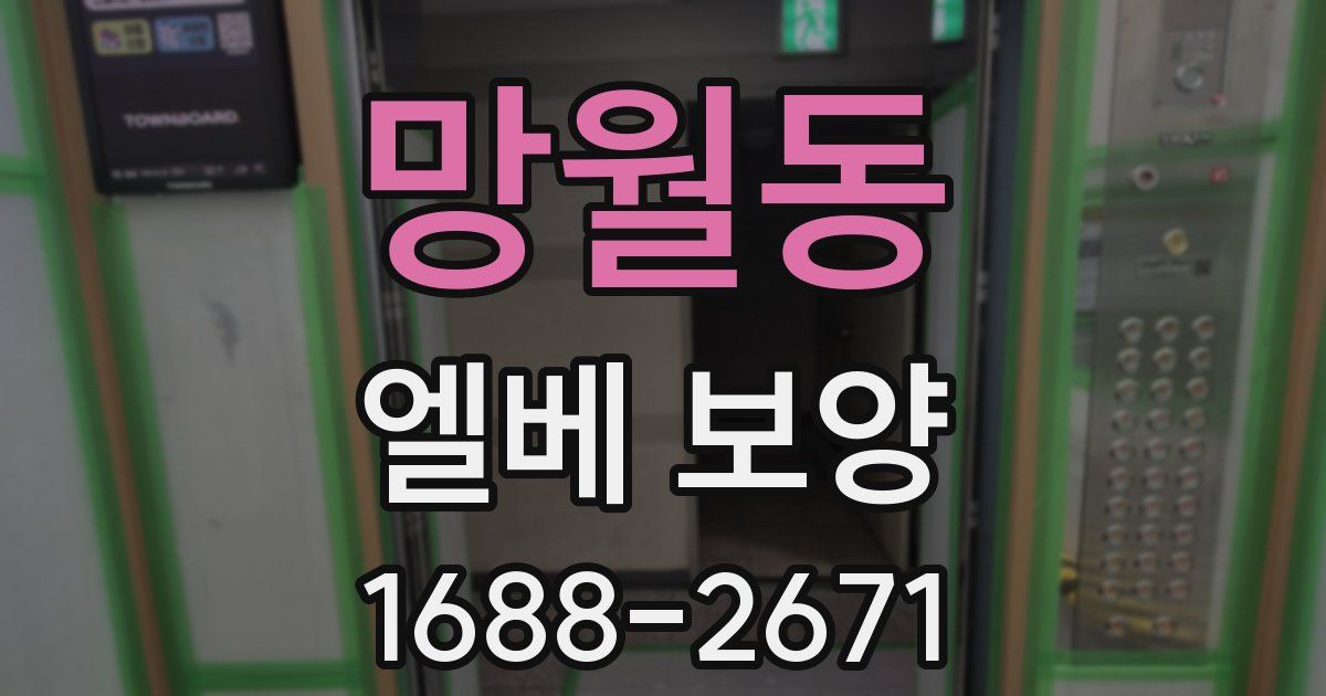 망월동 엘베 보양