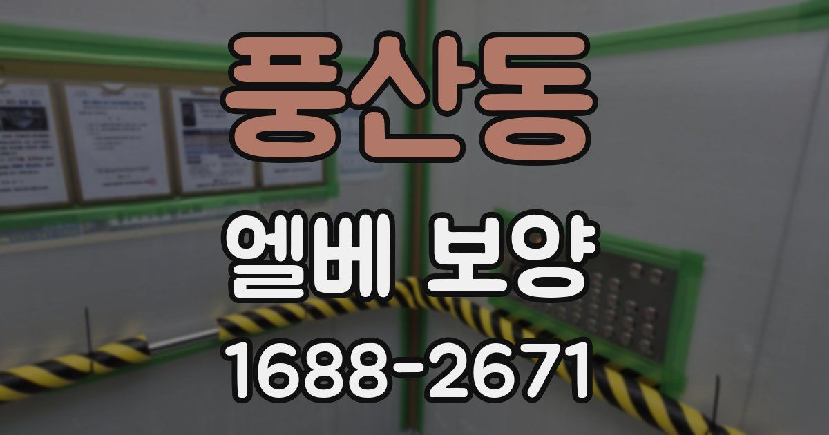풍산동 엘베 보양