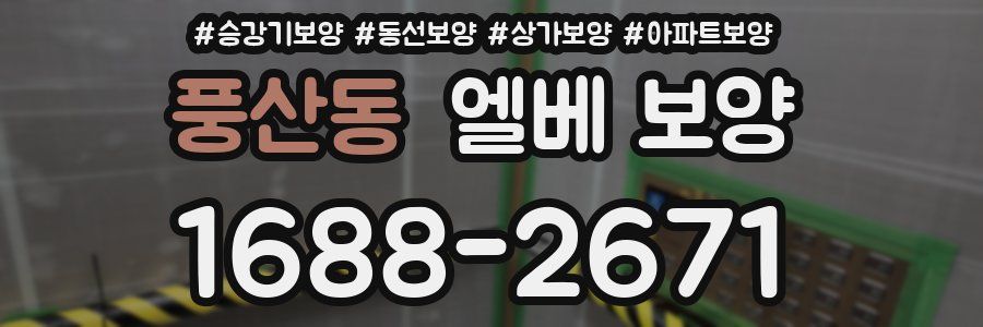풍산동 엘베 보양