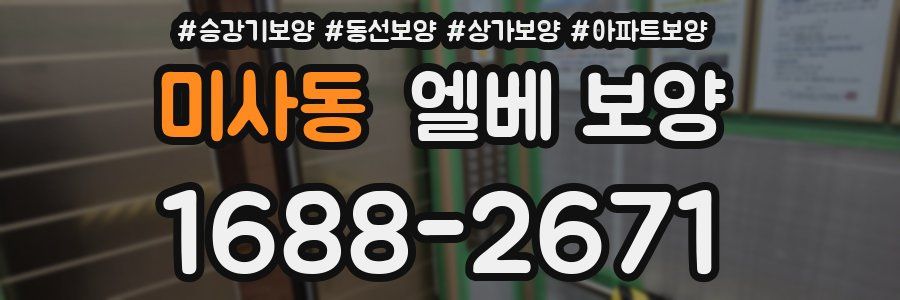 미사동 엘베 보양