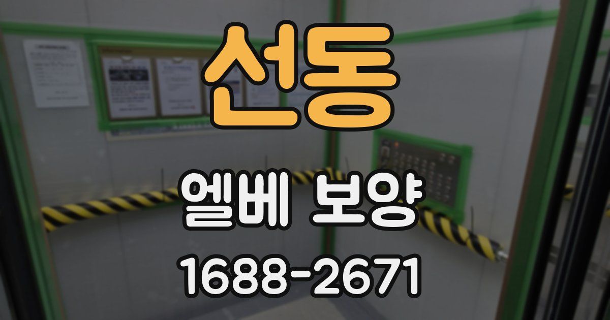 선동 엘베 보양