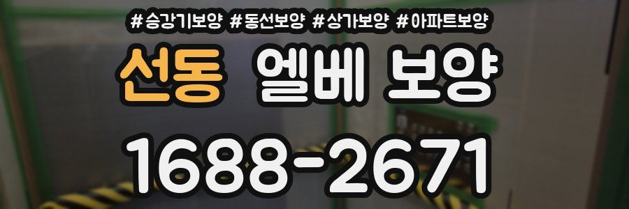 선동 엘베 보양