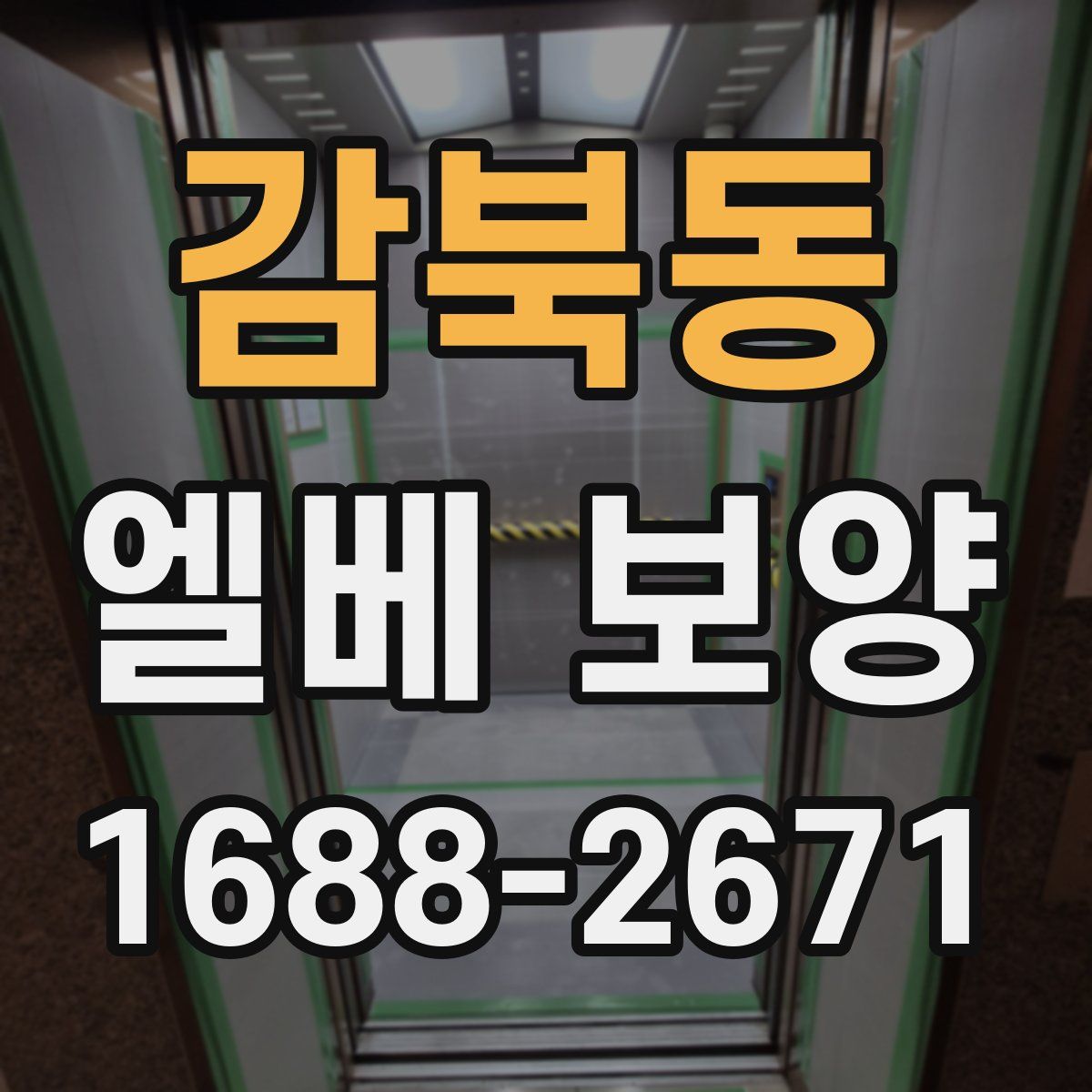 감북동 엘베 보양