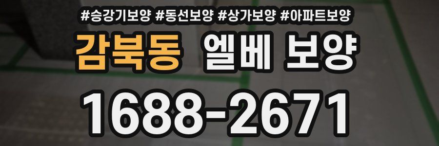감북동 엘베 보양