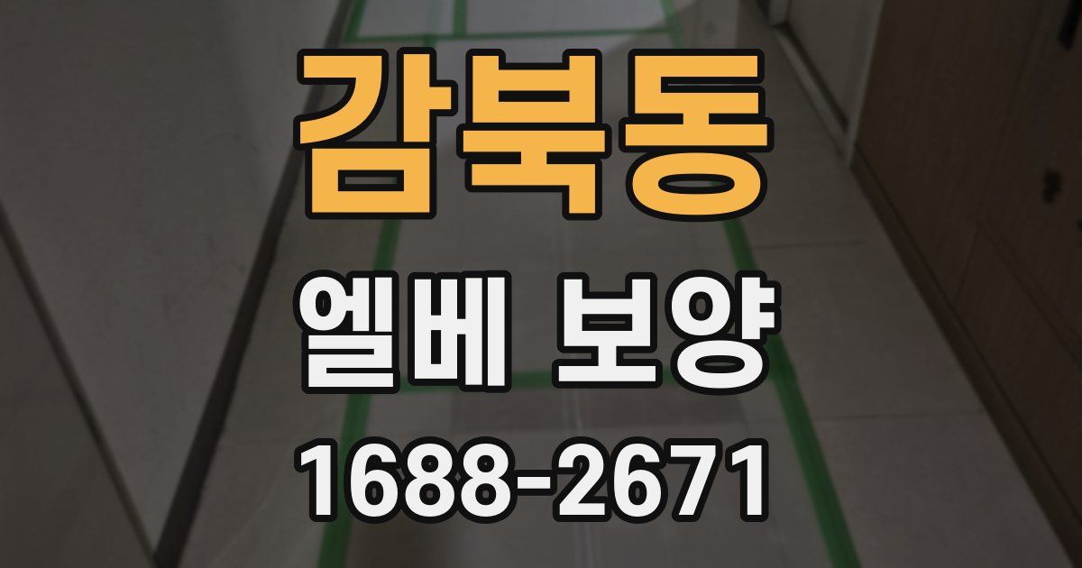 감북동 엘베 보양