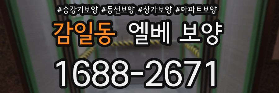 감일동 엘베 보양