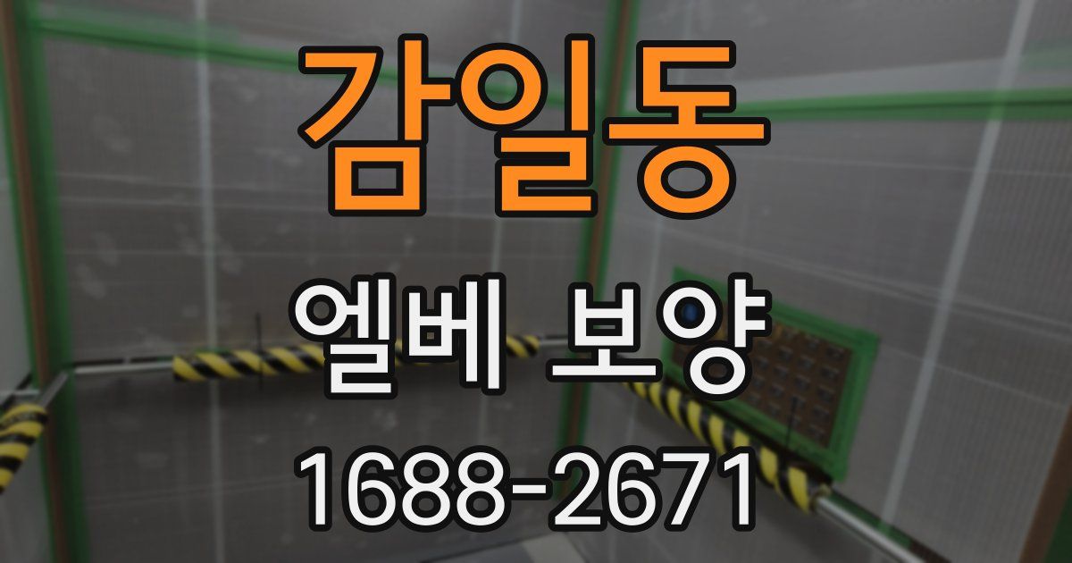 감일동 엘베 보양