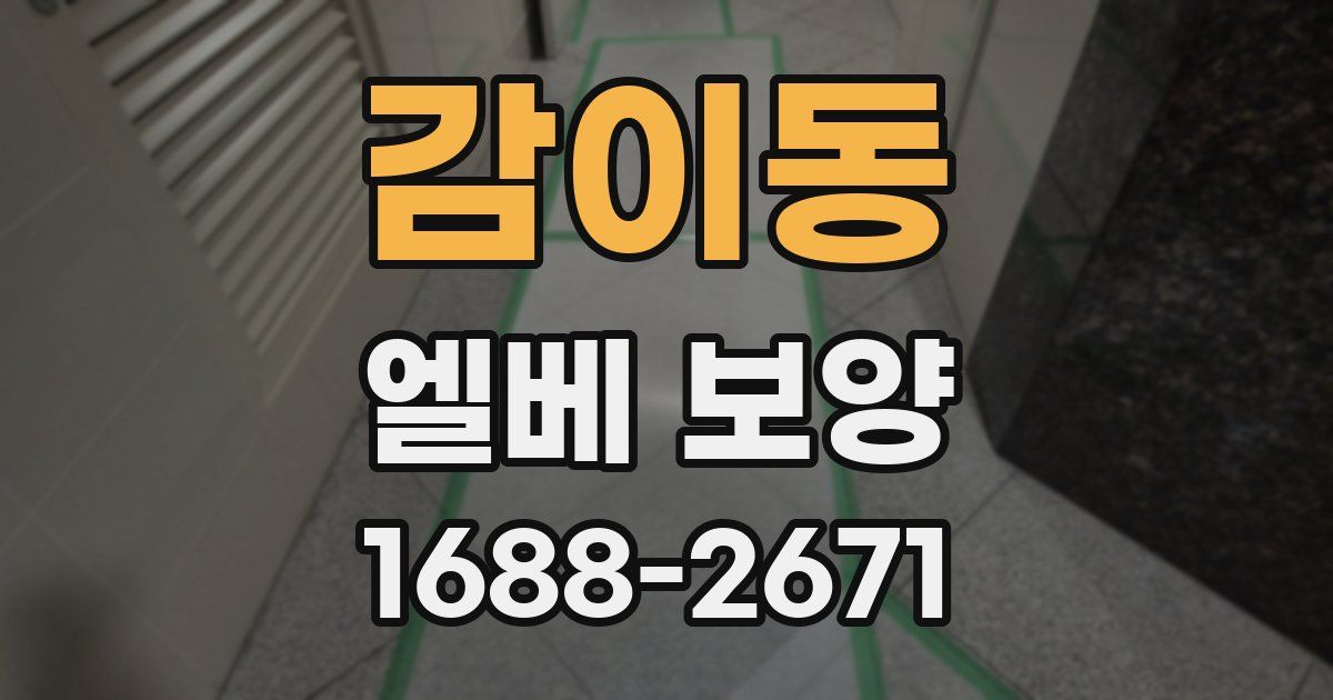 감이동 엘베 보양