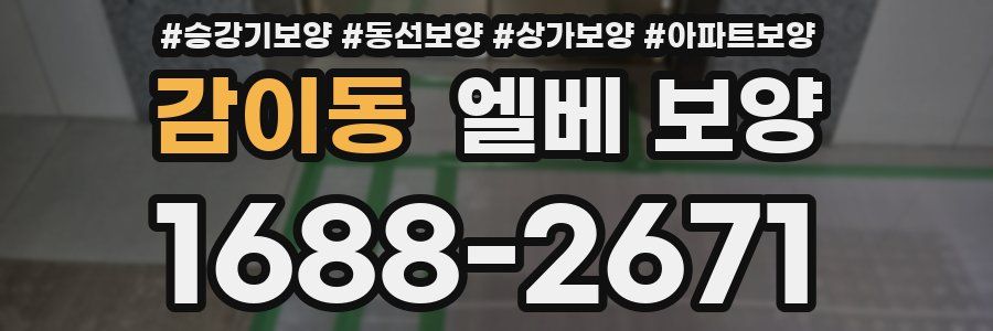 감이동 엘베 보양