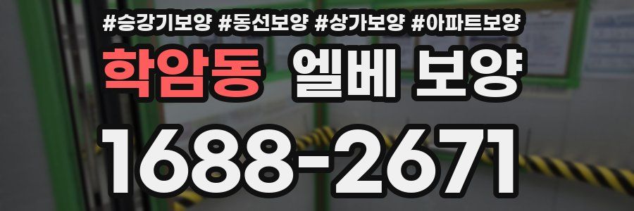 학암동 엘베 보양