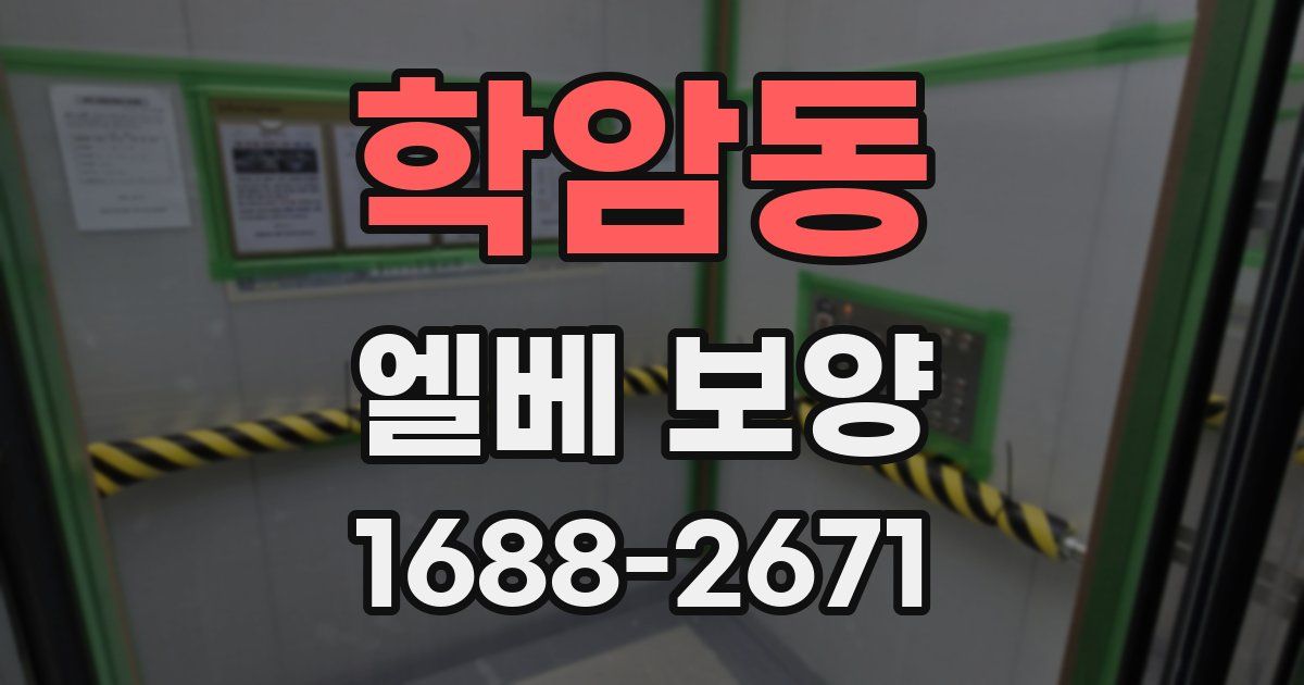 학암동 엘베 보양
