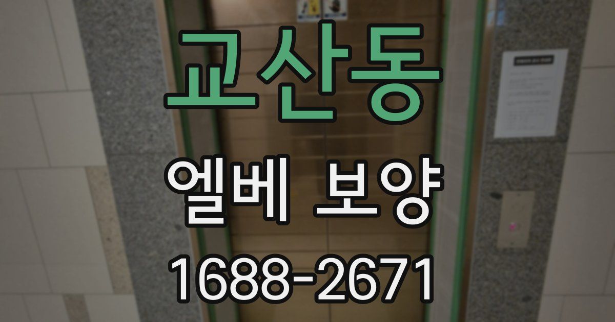 교산동 엘베 보양