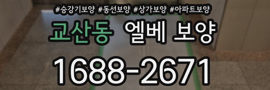 교산동 엘베 보양
