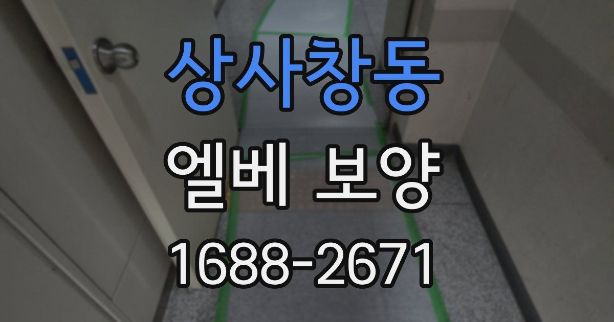 상사창동 엘베 보양