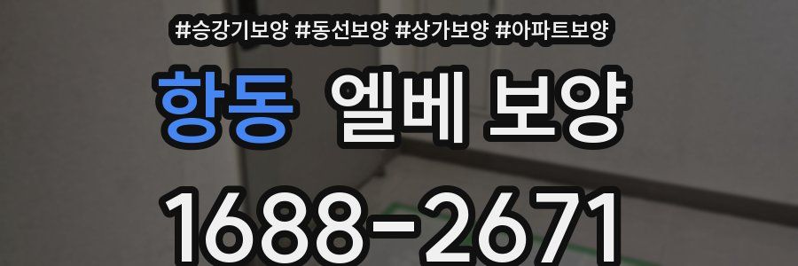 항동 엘베 보양