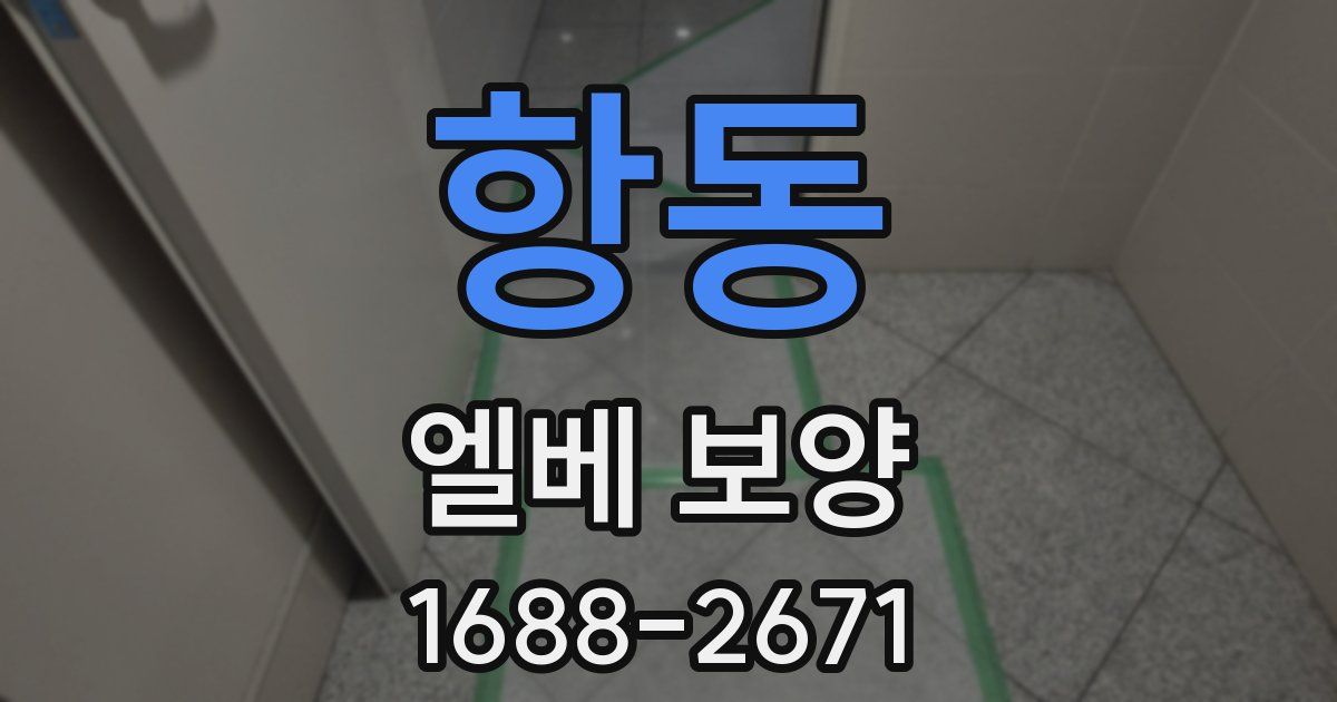 항동 엘베 보양