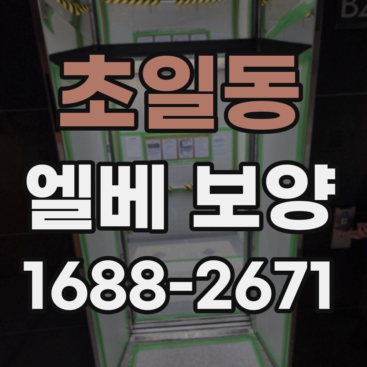 초일동 엘베 보양 장비 반입이 잦을 때 손상 줄이는 대처법
