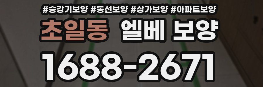 초일동 엘베 보양