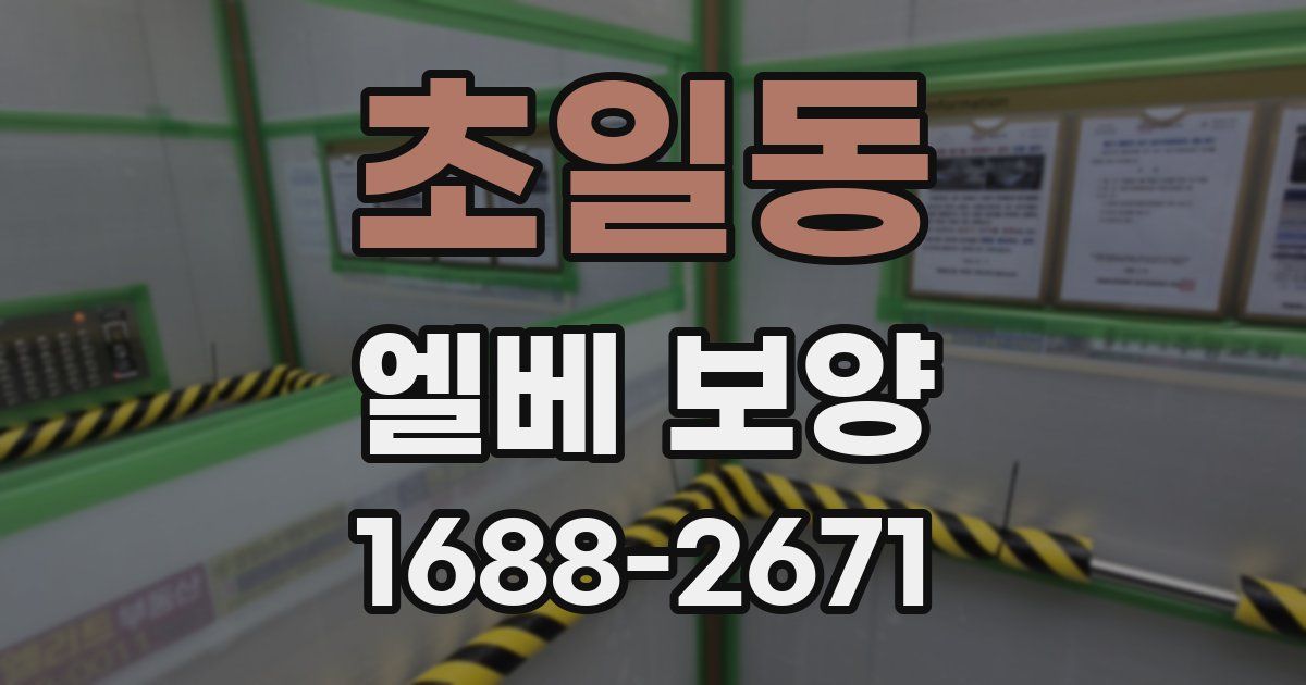 초일동 엘베 보양