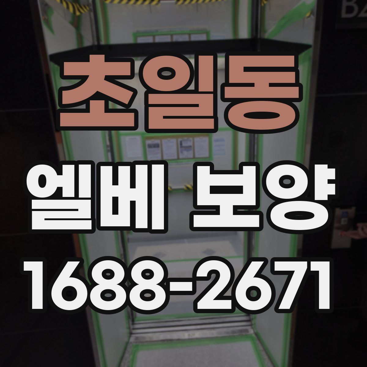 초일동 엘베 보양