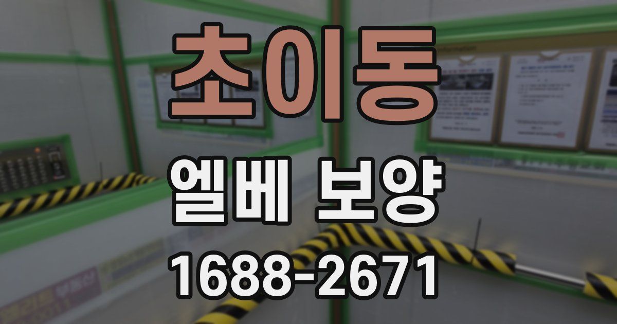 초이동 엘베 보양