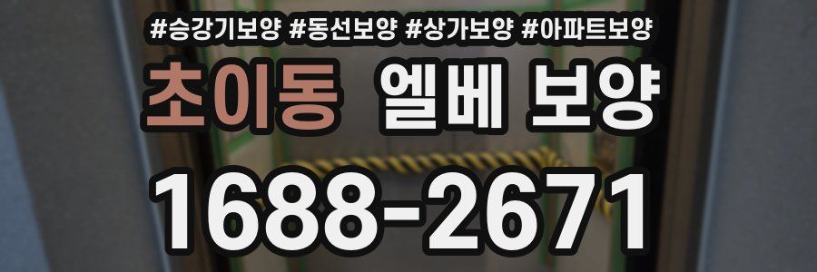 초이동 엘베 보양