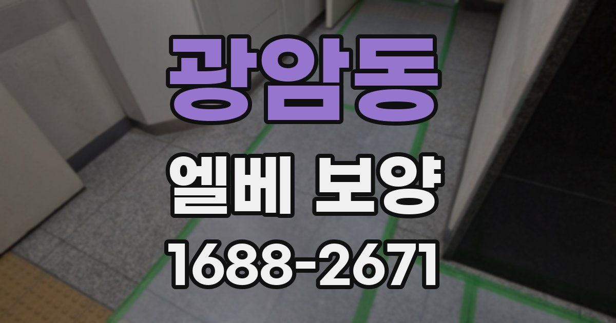 광암동 엘베 보양