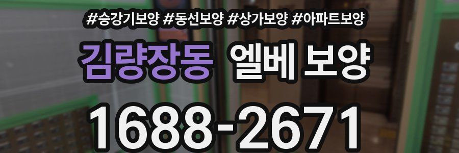 김량장동 엘베 보양