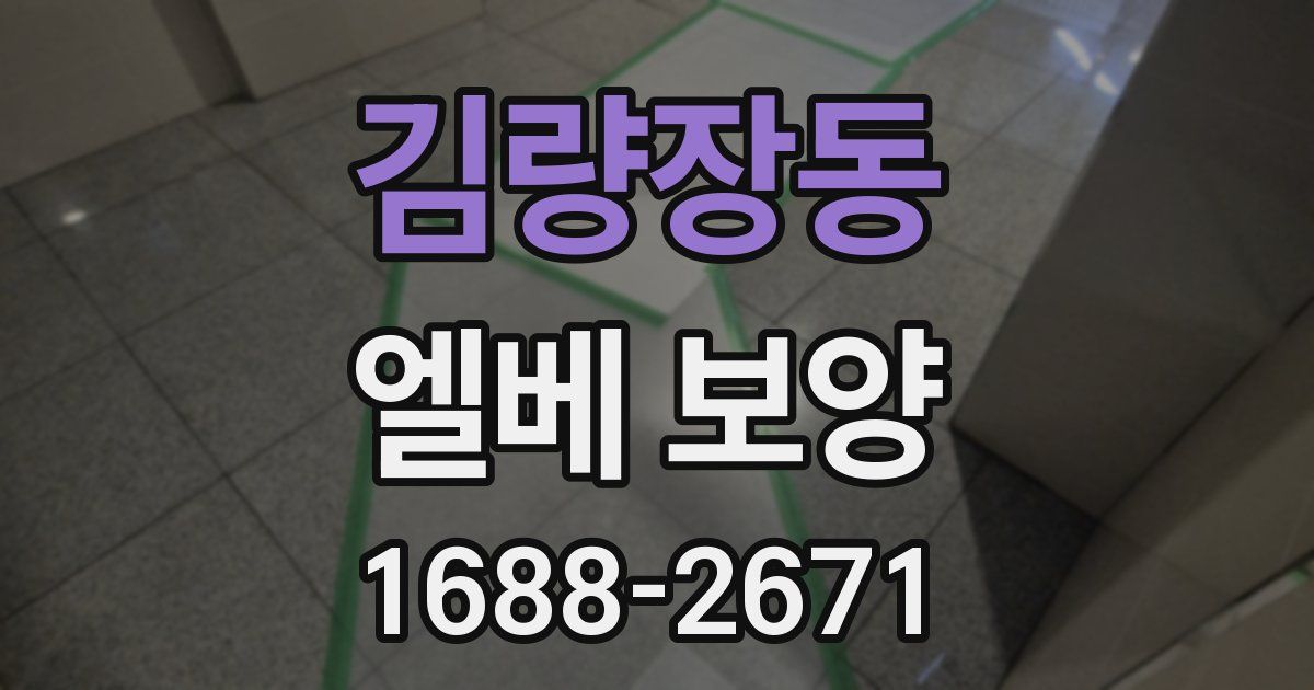 김량장동 엘베 보양