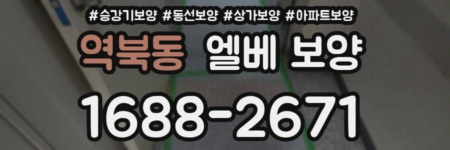 역북동 엘베 보양