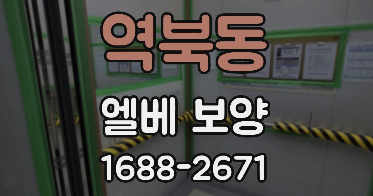 역북동 엘베 보양