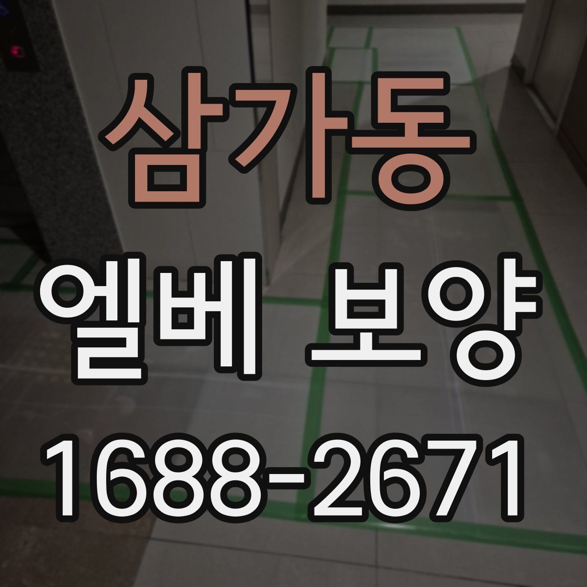 삼가동 엘베 보양