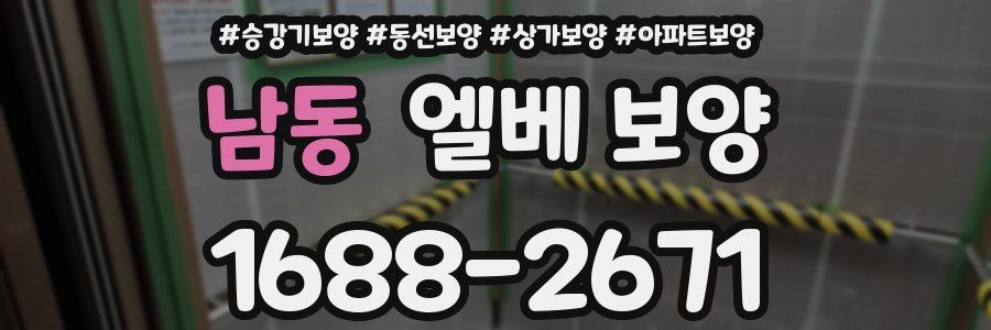 남동 엘베 보양