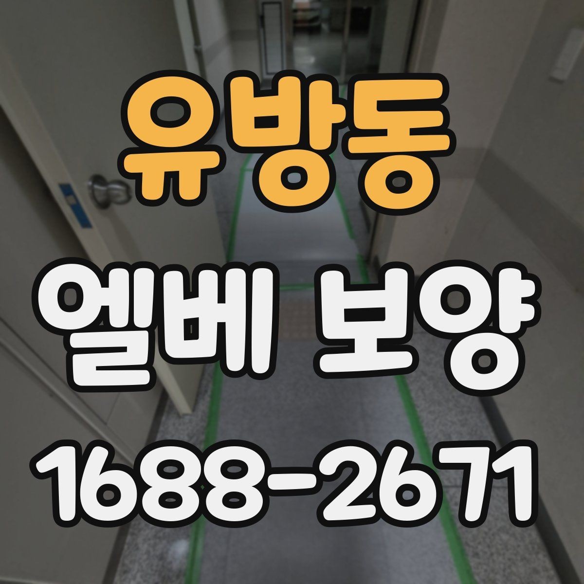 유방동 엘베 보양 반복 출입 현장에서 빠르게 교체하는 방법