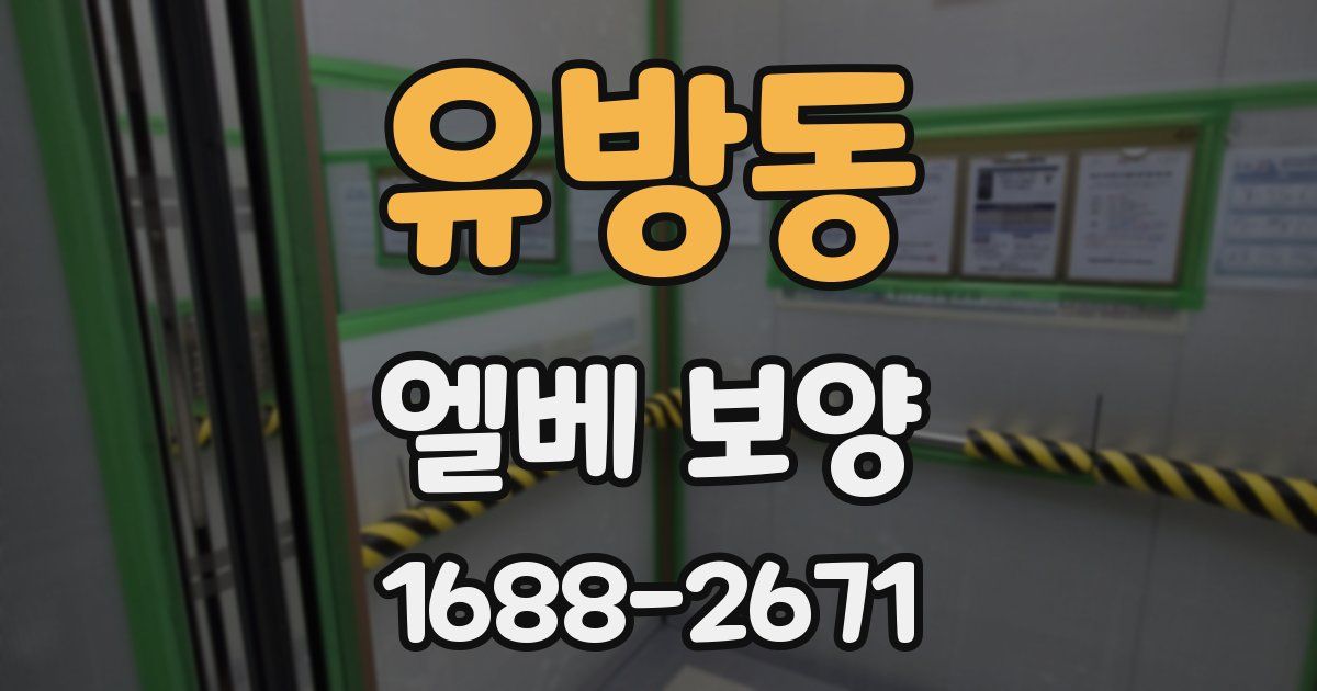 유방동 엘베 보양
