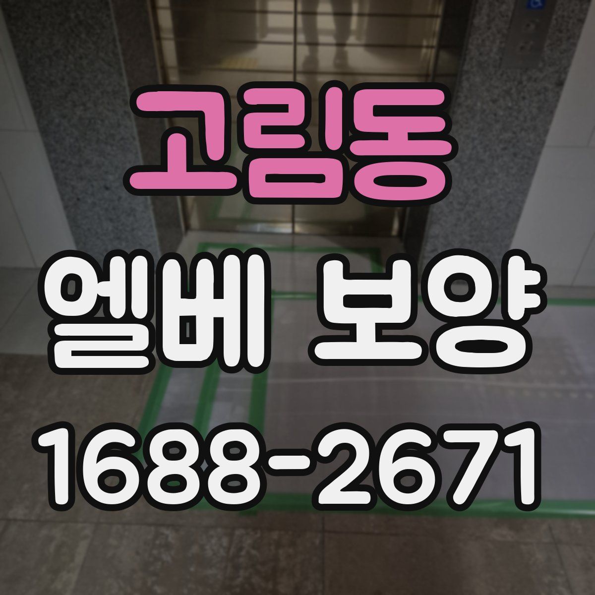 고림동 엘베 보양