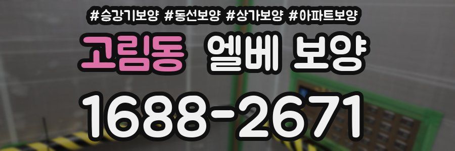 고림동 엘베 보양