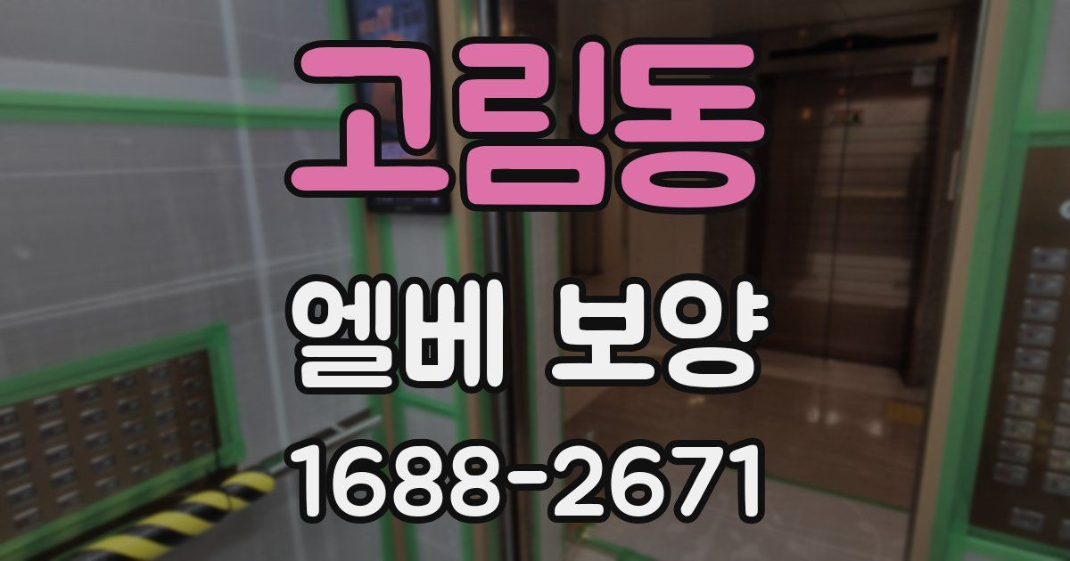 고림동 엘베 보양