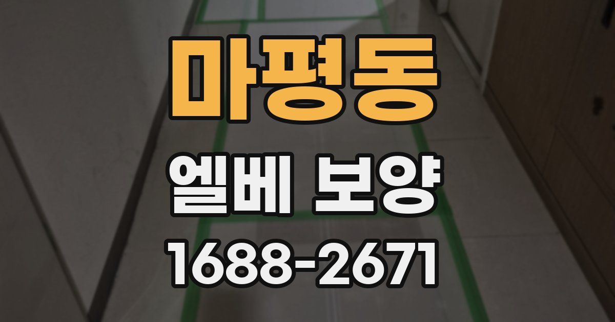 마평동 엘베 보양