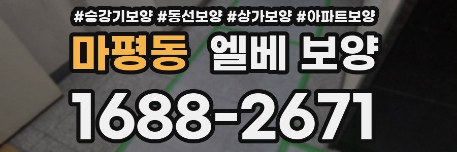 마평동 엘베 보양