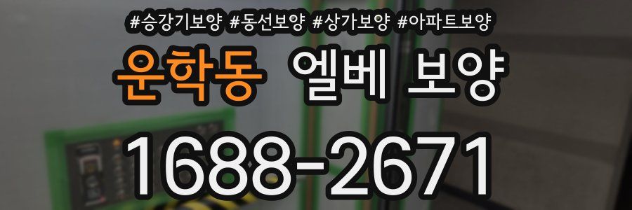 운학동 엘베 보양