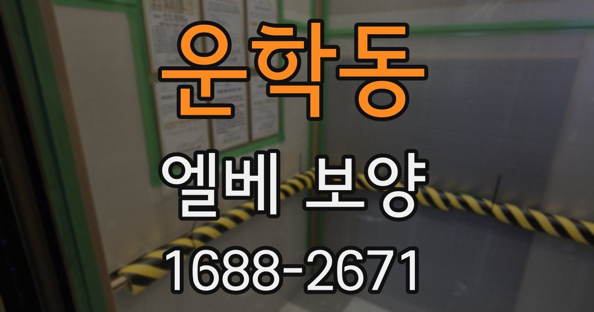 운학동 엘베 보양