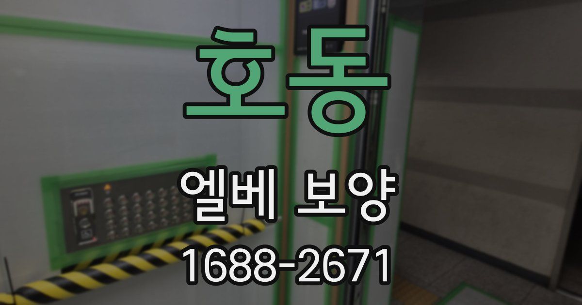 호동 엘베 보양