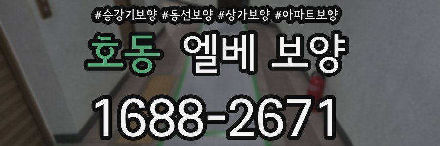 호동 엘베 보양